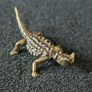 3 brass lizards. Image 6