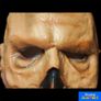 Fallout The Ghoul Trick or Treat Studios Latex Mask Image 9