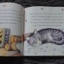 Book Animal Treasury Image 3
