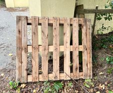 FREE Pallet