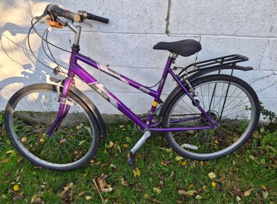 Raleigh Vixen