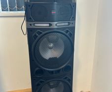 concert speaker