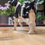 Beswick dog figurine Image 8