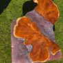 resin coffee table Image 4