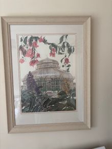 Pictures Large  - Framed Botanic Gardens Glasnevin Large Prints