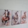 3 canvas framed 35x55cm each size Image 2