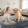 Living Room Rug  Modern Abstract Low Pile Area Carpet Non Slip Washable Mat for Bedroom Hallway Kitchen Laundry  Entryway Utility Beside Sofa Office Blue Gold Image 5