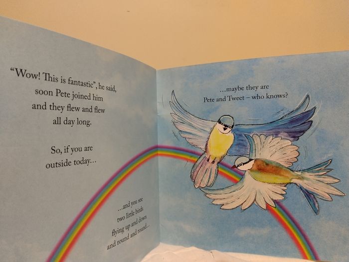 The Adventures Of Pete And Tweet Story Book