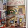 Looshkin - The Maddest Cat In The World (paperback) Image 2