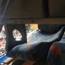 Minibus seats. About 6 left. Image 5