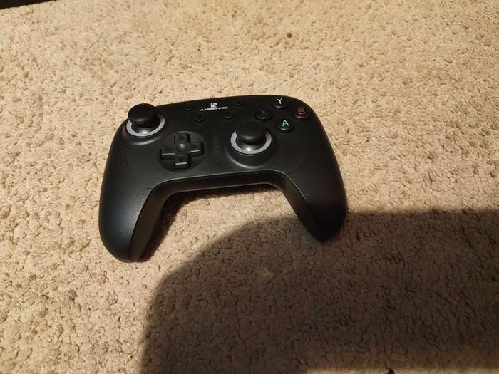 Ambernic Officiall controller