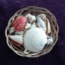 Basket of Seashells Image 6