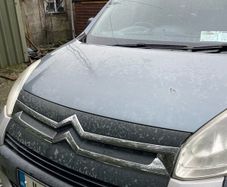 Wheelchair Car/Citroen berlingo