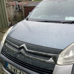 Wheelchair Car/Citroen berlingo