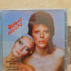 Bowie CD  - Pinups (24 Bit...)