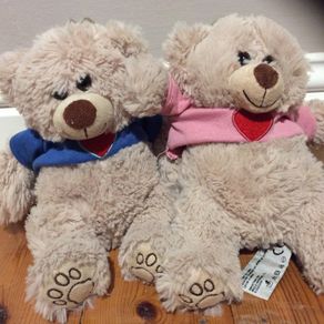 Teddy bears