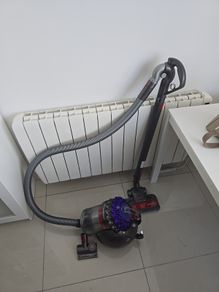 Dyson Big Ball animal 2