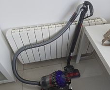 Dyson Big Ball animal 2