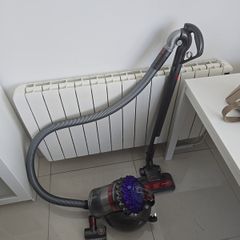Dyson Big Ball animal 2