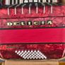 Delicia Junior II Piano Accordion Image 4