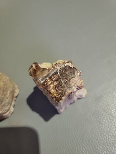 Petrified wood