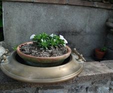 Cachepot for plant/flowers, solid brass/copper