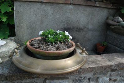Cachepot for plant/flowers, solid brass/copper
