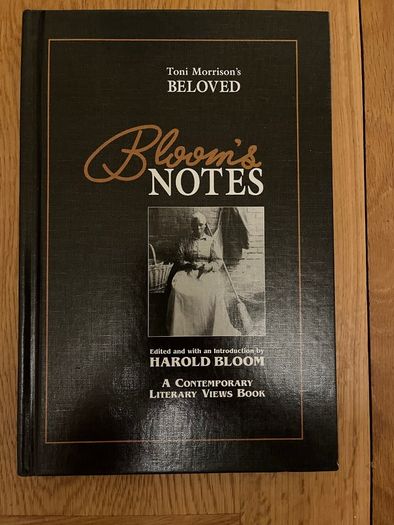 Harold Bloom Modern Critical Interpretations Book Collection