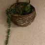 Wall decor Image 2