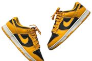 Nike Dunk Low Retro Trainer