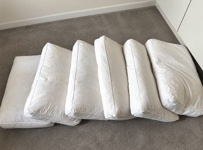 6 Duck feather pillows 10 euros each or all 6 for 50