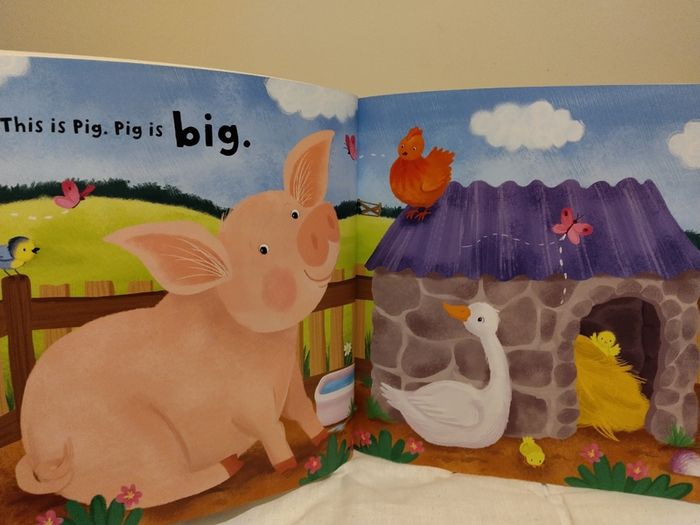Big Pig And Piglet Story Book