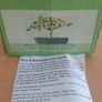 Bonsai growing kit Image 3