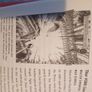 All of the marvels book Image 4
