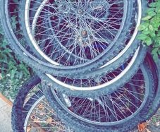 bike wheels