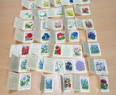 Kensitas Medium Silk Cigarette Cards Flowers 1934 - 31 Medium and 4 Small