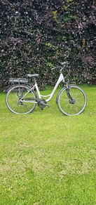 Hybrid E Bike