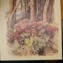 The Country Diary Postcards Collection 21 Fabolous County Diary Postcards In Very Good Condition. Image 7
