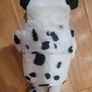 Dalmation Hot Water Bottle Cover & Bottle Image 3