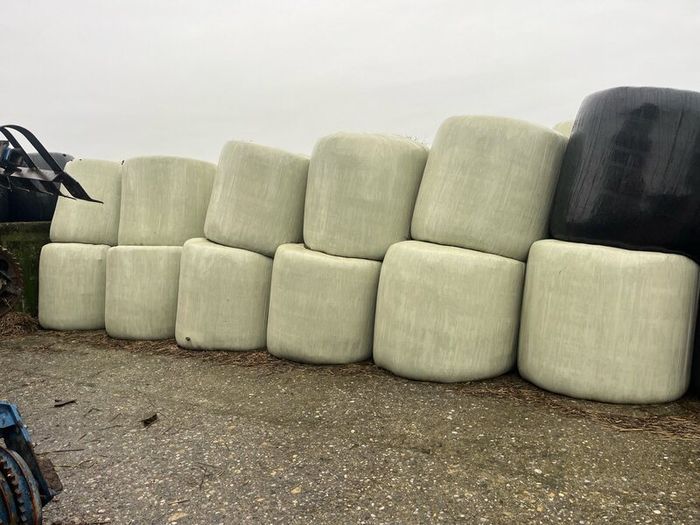 Silage Bales .Whole crop