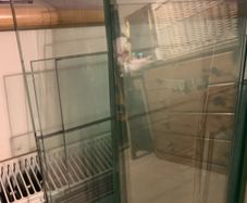 Glass Shop Shelves