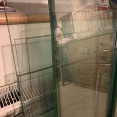 Glass Shop Shelves