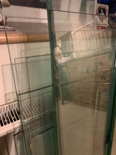 Glass Shop Shelves