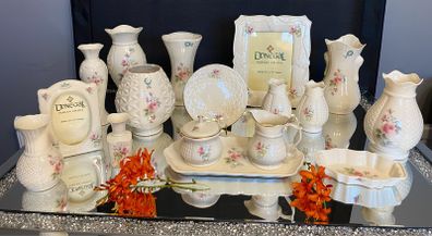 Beautifull Irish Parian Donegal China Porcelain  Irish Parian Donegal China Porcelain Rose Floral Decorative