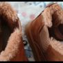 uggs Image 10
