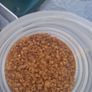 Animal glue Image 2