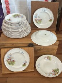Arklow Pottery Tally Ho pattern plates /bowls