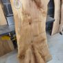 Live Edge Sycamore slab - Kiln Dried Image 3