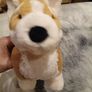 Betty the Corgi Jellycat Image 6