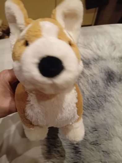 Betty the Corgi Jellycat